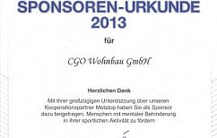 SpecialOlympics2013-3.jpg